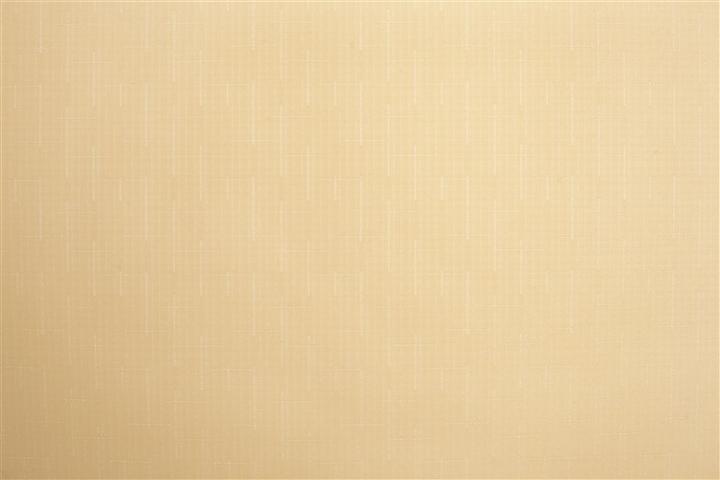 Produktbild Domoletti ROLLER BLIND SHANTUNG 877 60X170 (45 x 75 cm)