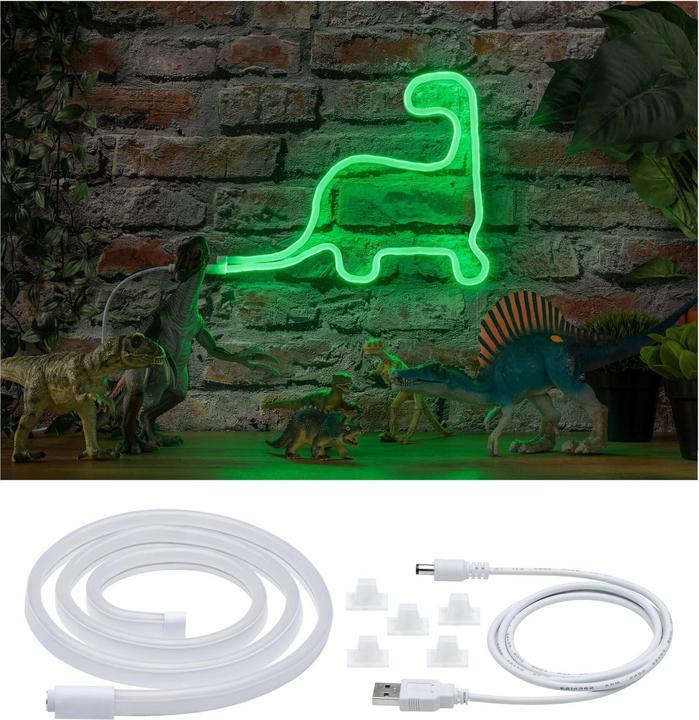 Actual product image Paulmann Colorflex (Green, 100 cm, Indoor)
