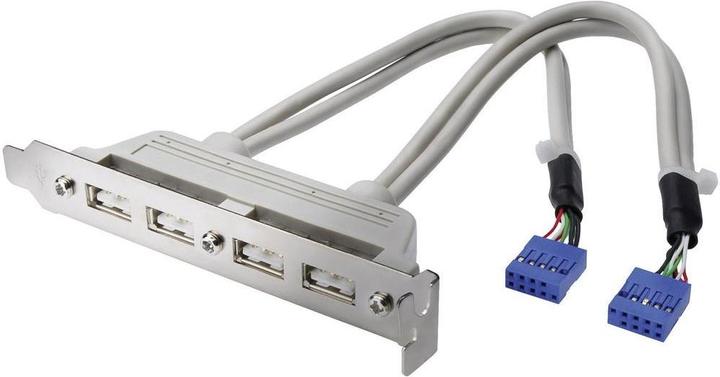 Image du produit Digitus ASSMANN Câble USB à fente 4x type A - 2x10pin IDC Bu/Bu 0,25m compatible USB 2.0 be
