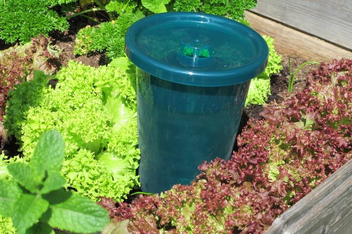 Image du produit Bio Green Ensemble de tasses Hydro (Cône d'argile)