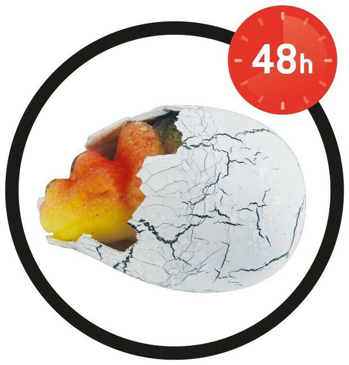 Produktbild Buki France D6G Fun Magic Dinosaur Egg (1pc Random) for 6+ Years