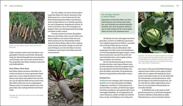Produktbild Gesunder Garten durch Mischkultur (Deutsch, Brunhilde Bross-Burkhardt, 2019)
