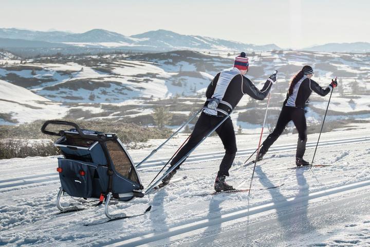 Produktbild Thule Chariot Cross 1