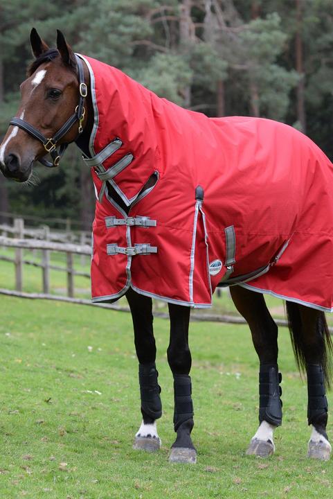 Weatherbeeta Comfitec Classic 50 g (155 cm)