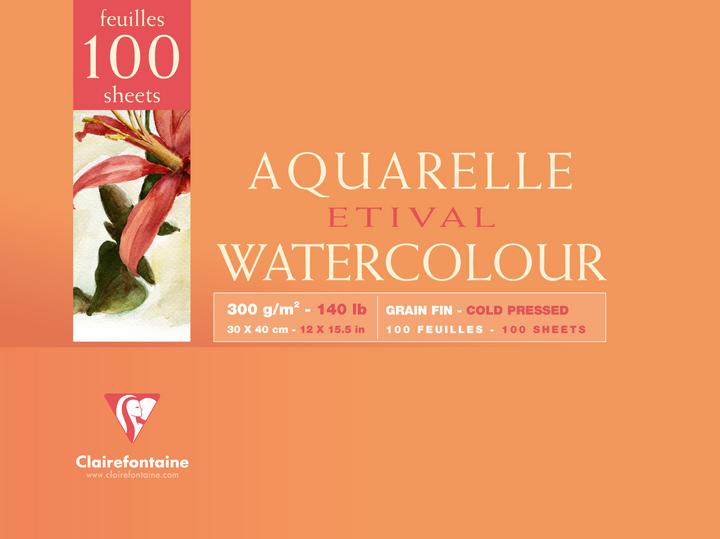 Immagine prodotto Clairefontaine Etival Aqua Block (12 x)