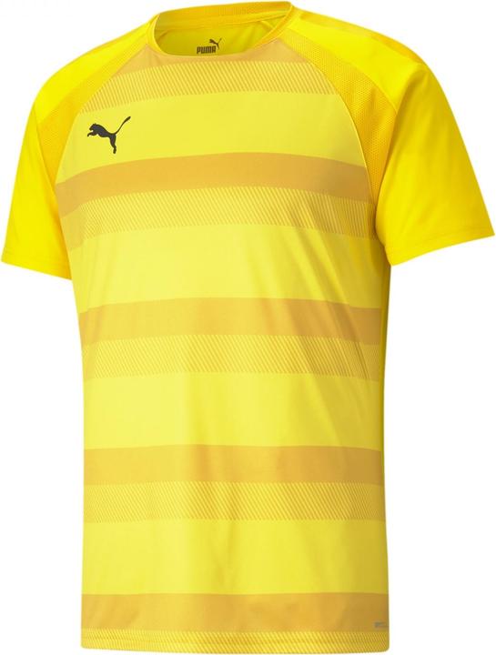 Actual product image Puma teamVISION Jersey-704921 (M)