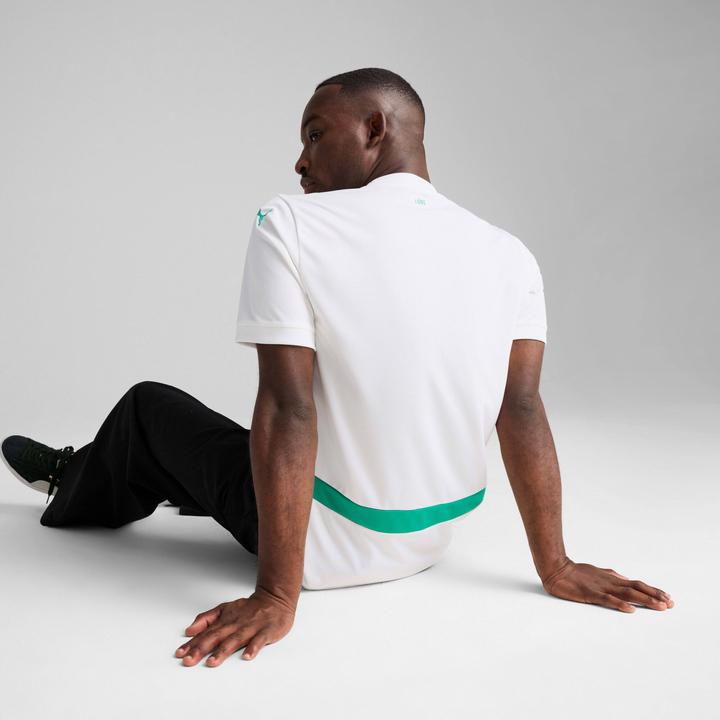 Image du produit Puma FSF Home Jersey Replica (XL)