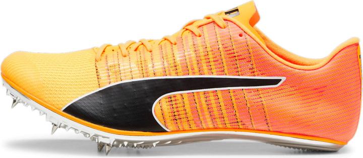 Produktbild Puma evoSPEED BRUSH 6 (42)