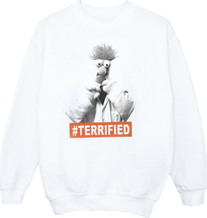 Image du produit Disney - Sweat THE MUPPETS BEAKER TERRIFIED - Homme (XL)