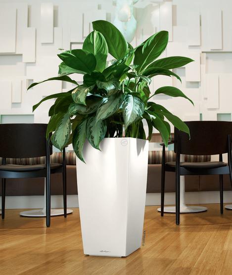 Actual product image Lechuza Cubico 30 (29.50 cm)