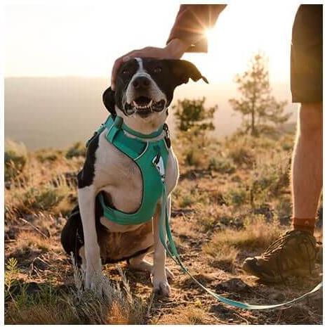 Produktbild Ruffwear Hundegeschirr Front Range Harness (M, Hund)