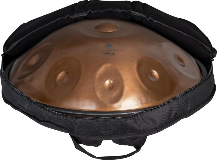 Actual product image Sela SE 321 Harmony Handpan D Amara 10 Phoenix Steel roestvrij staal