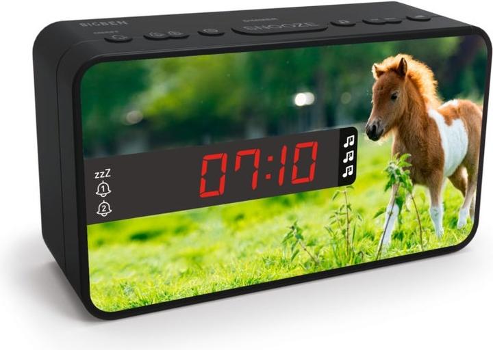 Bigben Horses