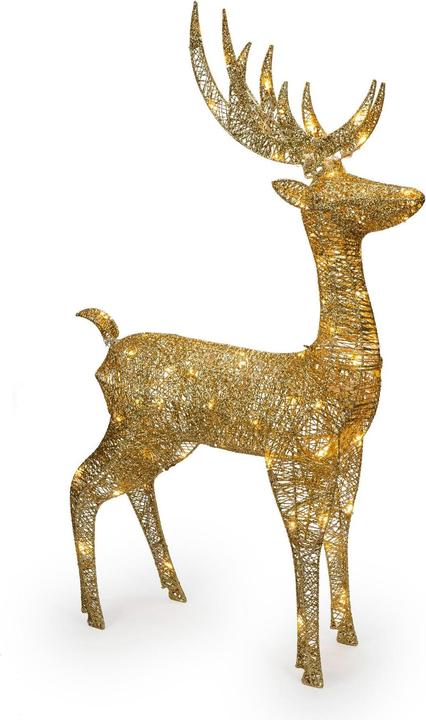 Actual product image STT Floki