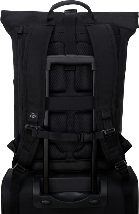 Image du produit Johnny Urban Allen (19 l)