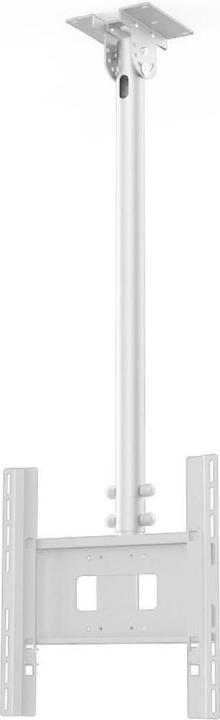 Actual product image SMS Func Ceiling LP monitor ceiling mount, white (02-114-4)