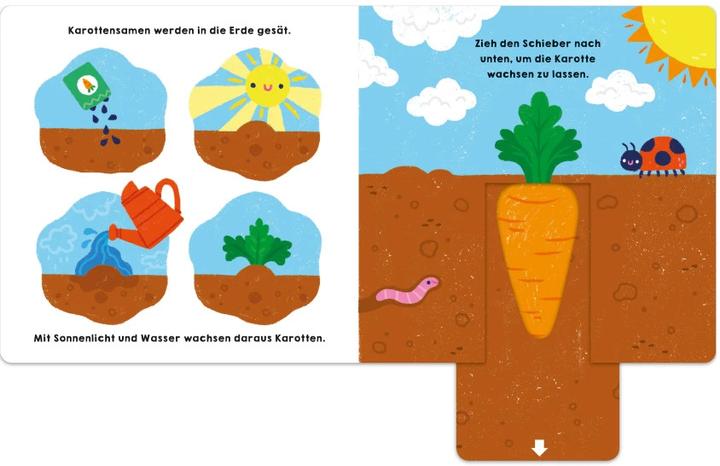 Image du produit Poisson chanceux : tout pousse! (Allemand)
