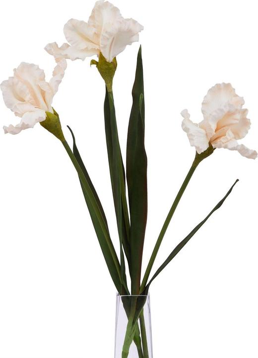 Immagine prodotto Hill Interiors The Natural Garden Collection Iris Frangiato Fiore Artificiale (83 cm)