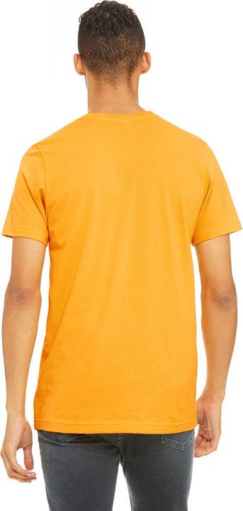 Actual product image Bella Canvas Unisex Adult Jersey Crew Neck T-Shirt (XL)