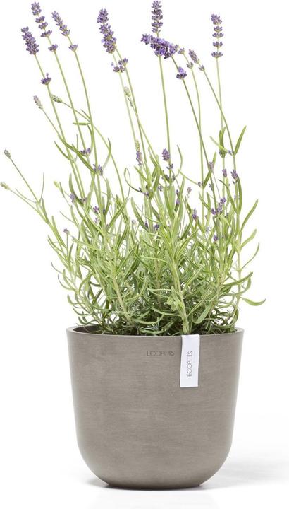 Image du produit Ecopots Oslo Mini (19 cm)