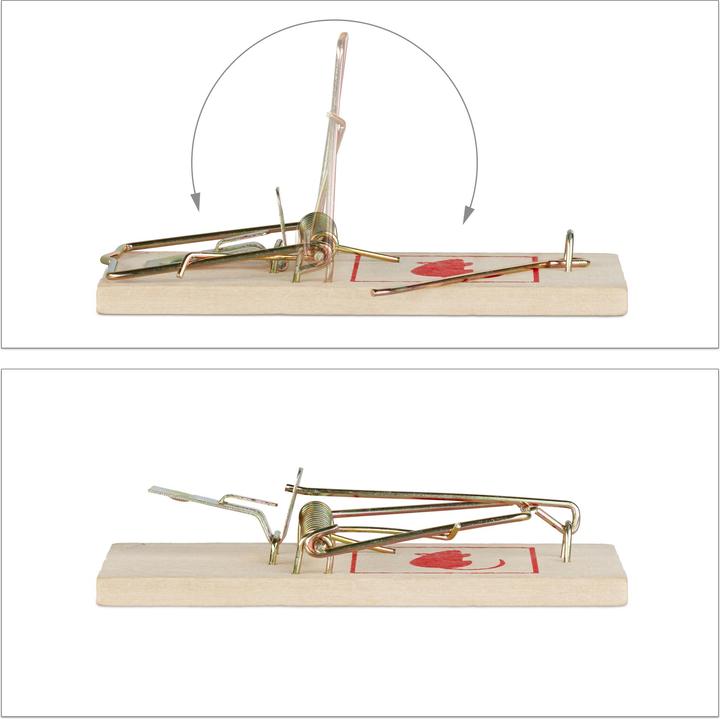 Actual product image Relaxdays 25x mousetrap