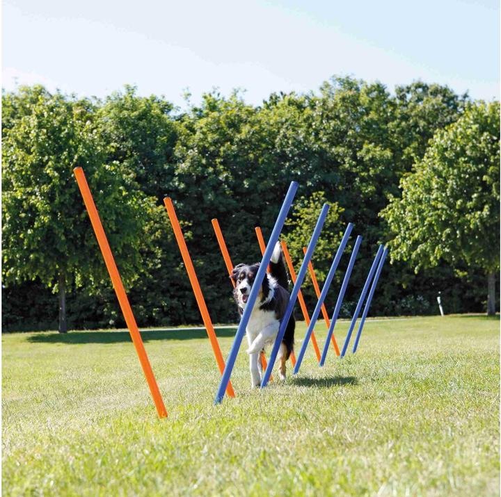 Produktbild Trixie Fun Agility Slalom (Agility)