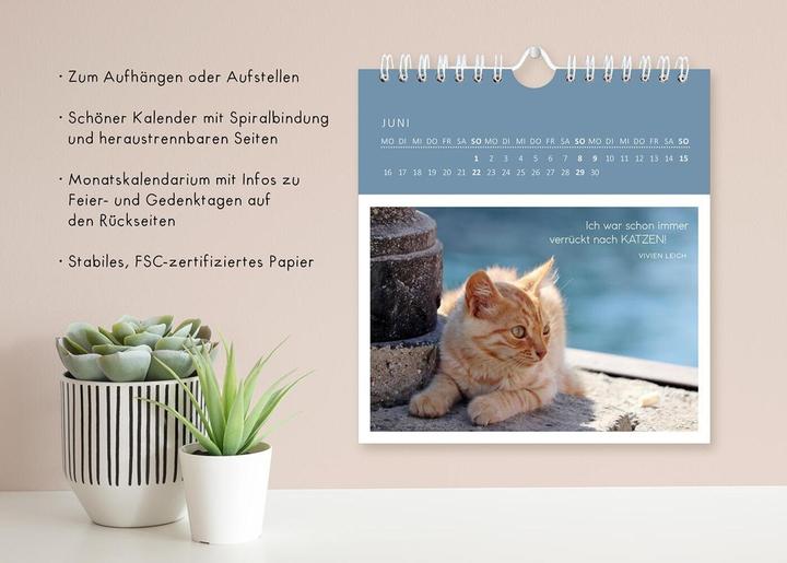Produktbild Wandkalender Katzenweisheiten 2025 (Harter Einband, Deutsch)
