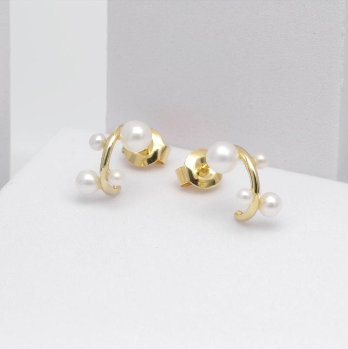 Produktbild Christ Ohrstecker (585er Gelbgold)
