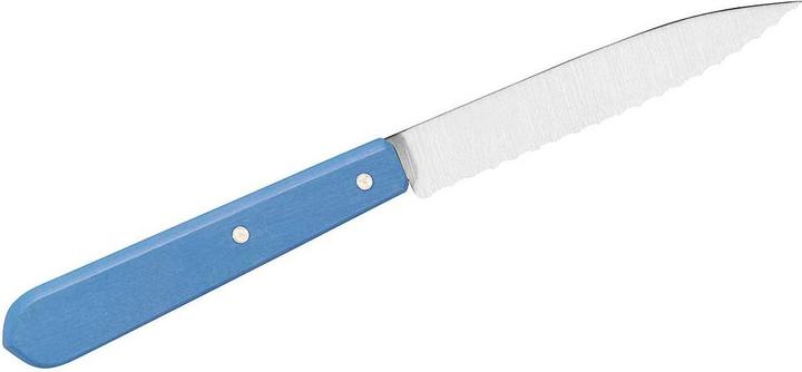 Produktbild Opinel 001922 Küchenmesser No. 113 Hellblauer Buchenholzgriff (9.40 cm)