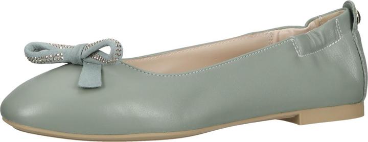 Actual product image Nero Giardini Ballerinas (35)