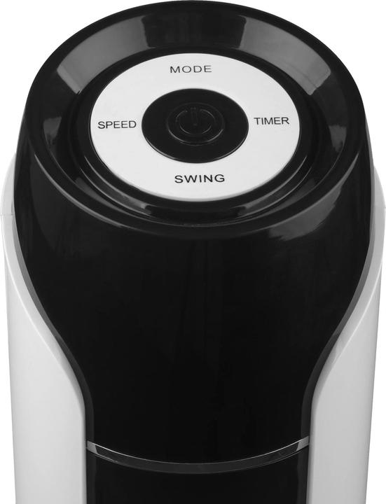 Actual product image Nordic Tower fan (50 dB)