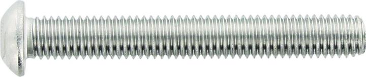 Image du produit OK-Line M 5X12 ISO 7380 RFA2 tête de bouton TX - (500 pcs.) (500 Vis par pièce)