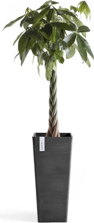 Actual product image Ecopots Rotterdam High (32 cm)