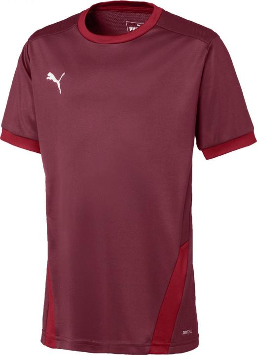 Actual product image Puma teamGOAL 23 Jersey jr-704160 (128)