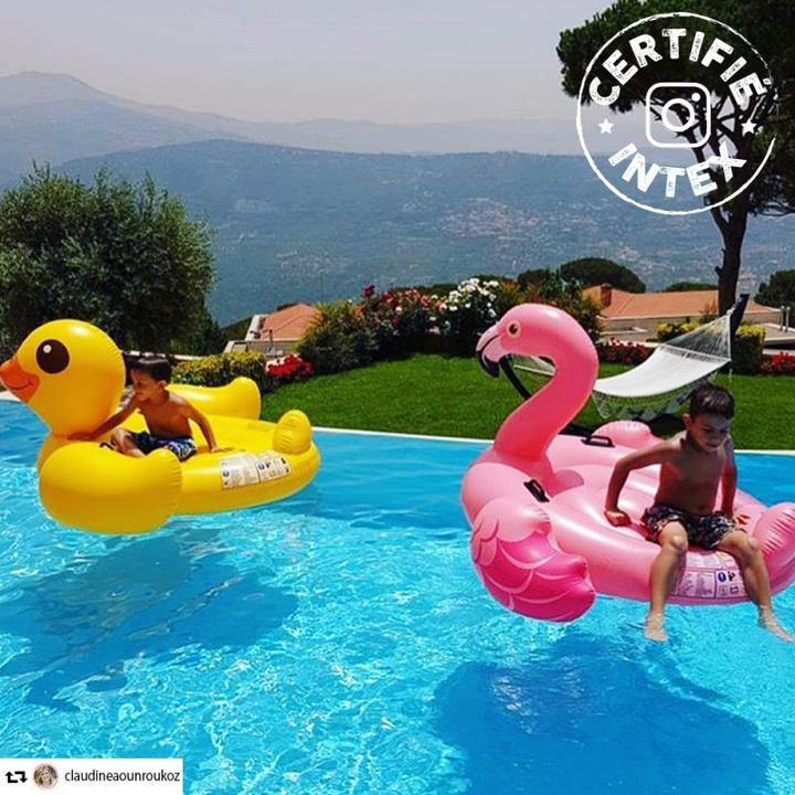 Image du produit Intex Flamingo Ride On