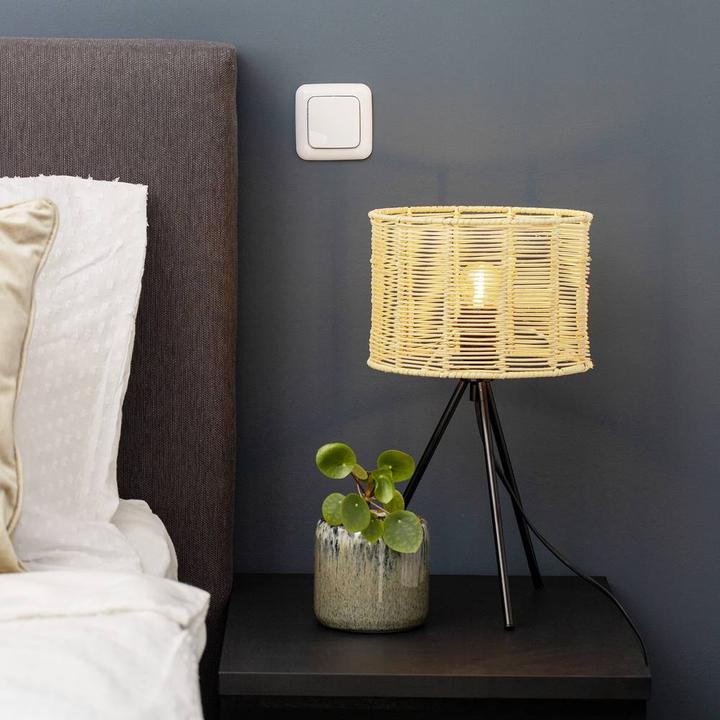 Immagine prodotto Smartwares Interruttore a muro della radio