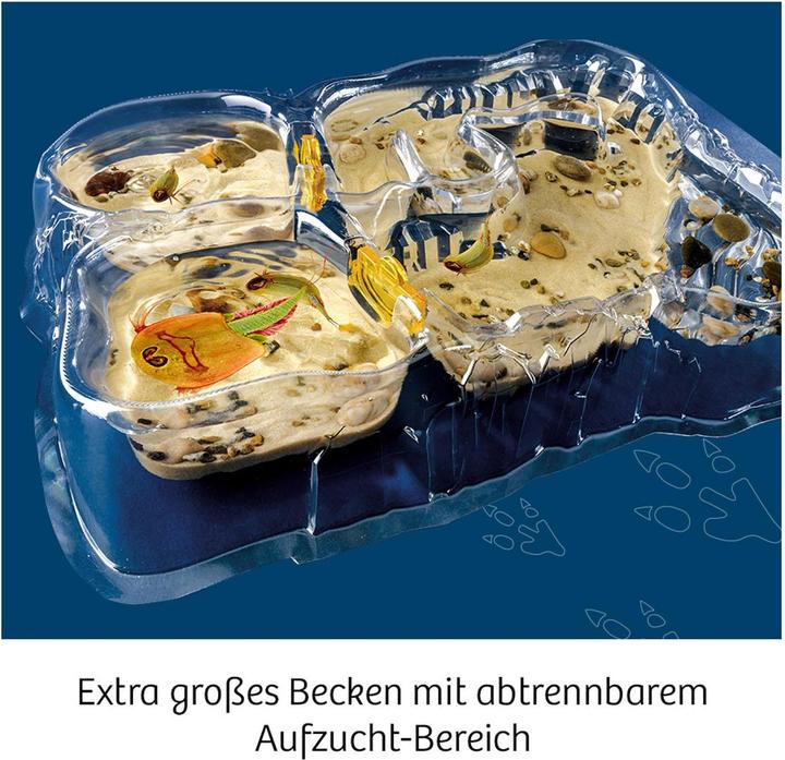 Actual product image Kosmos Triops - Life from primeval times