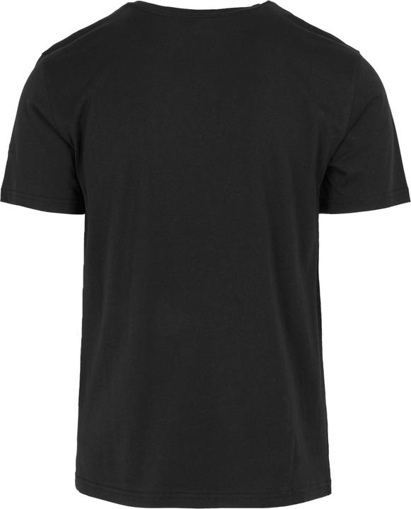 Actual product image Regatta Mens Cline IX Mountain T-Shirt (3XL)