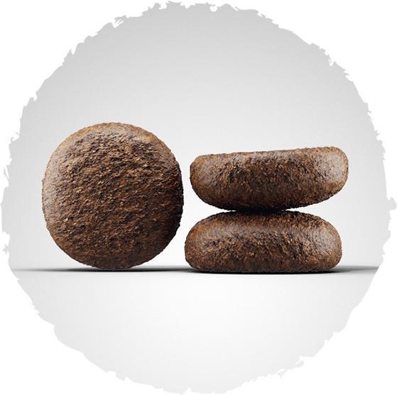 Actual product image Josera Youngstar (Junior, 1 pcs., 15000 g)