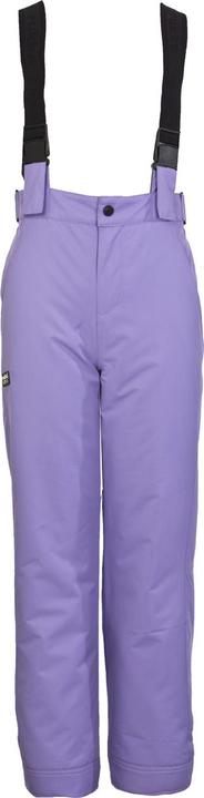 Paisley Purple