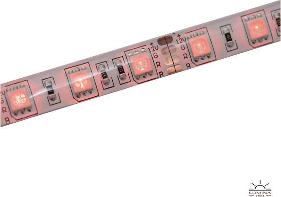 Produktbild Lumina Swiss LED-Streifen Multicolor 10m Pure Outdoor (1000 cm, Outdoor)