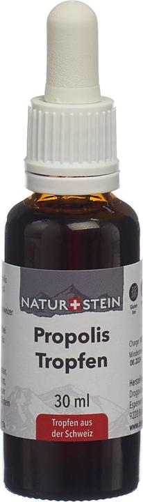 Image du produit Naturstein Propolis Tinkt (1 pièce(s), 80 g)