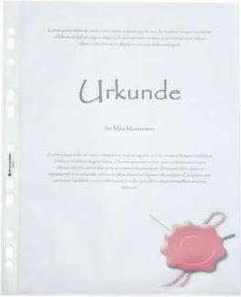 Produktbild Soennecken Prospekthülle 1603 DIN A4 PP transparent 100 St./Pack. (A4, 100 x)