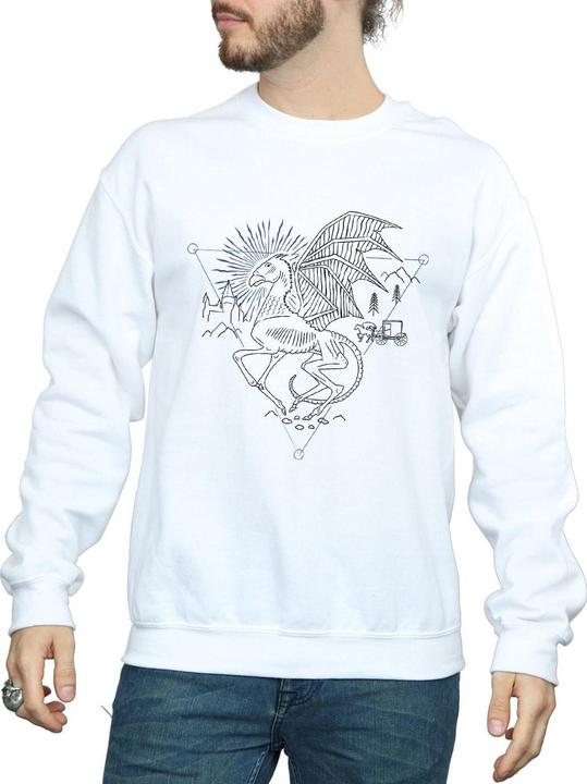 Actual product image Mens Thestral Line Art Sweatshirt (S)