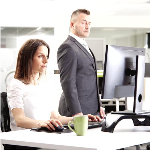 Actual product image Fellowes Privascreen 17.0 5:4 (17", 5 : 4)