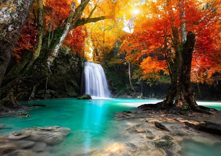 Actual product image Grafika Puzzle 1500 pieces Deep Forest Waterfall (1500 pieces)