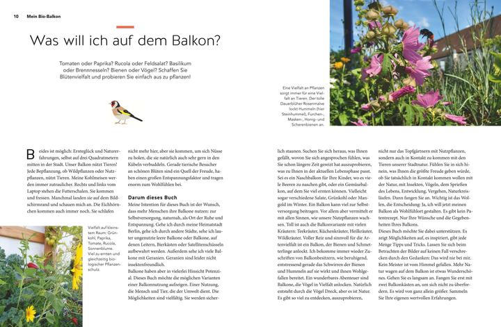 Actual product image Mein Biotop auf dem Balkon (German, Birgit Schattling, 2020)