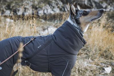 Image du produit Hurtta Extreme (50, Manteau pour chien)