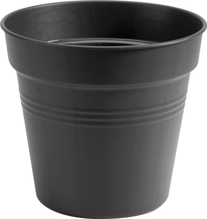 Produktbild Elho Green Basics (24 cm)