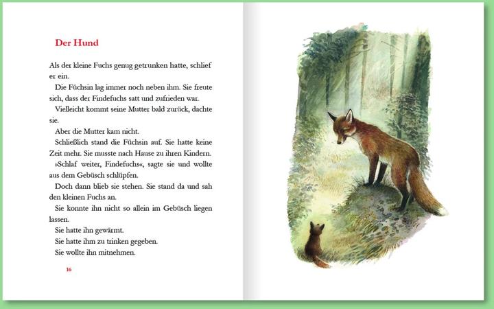Immagine prodotto Der Findefuchs (Tedesco, Irina Korshunov, 2021)